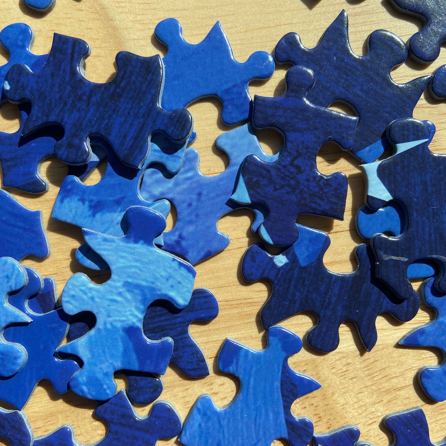 Campfire Critters 500 Piece Puzzle