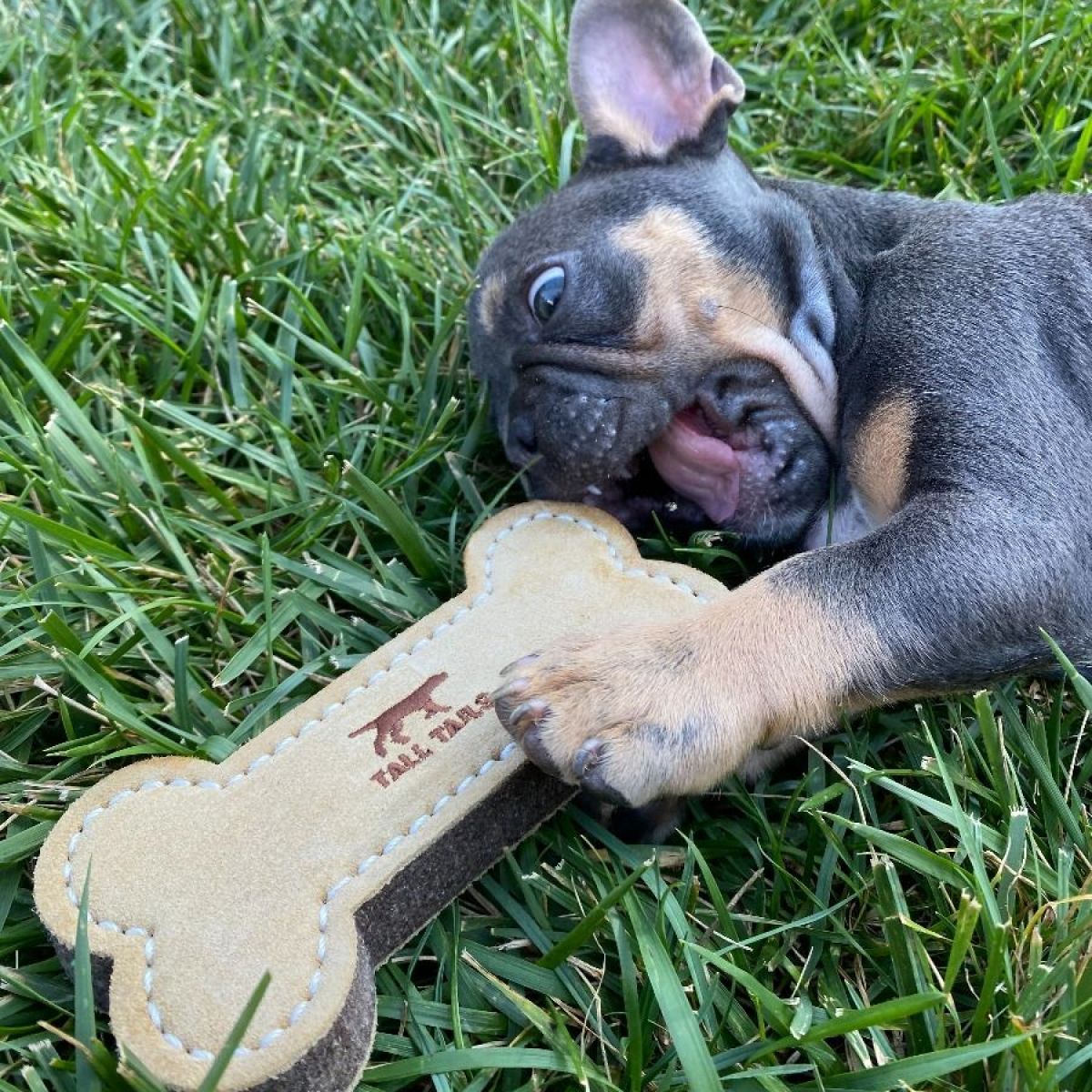 Natural Leather Bone Fetch Toy