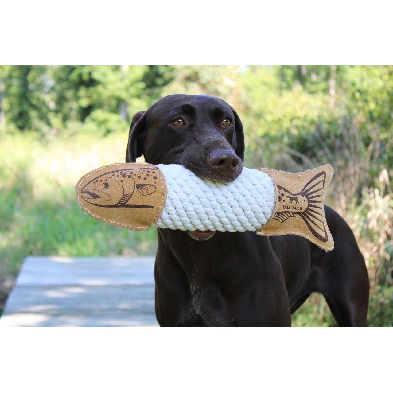 15" Natural Leather Trout Rope Tug Dog Toy
