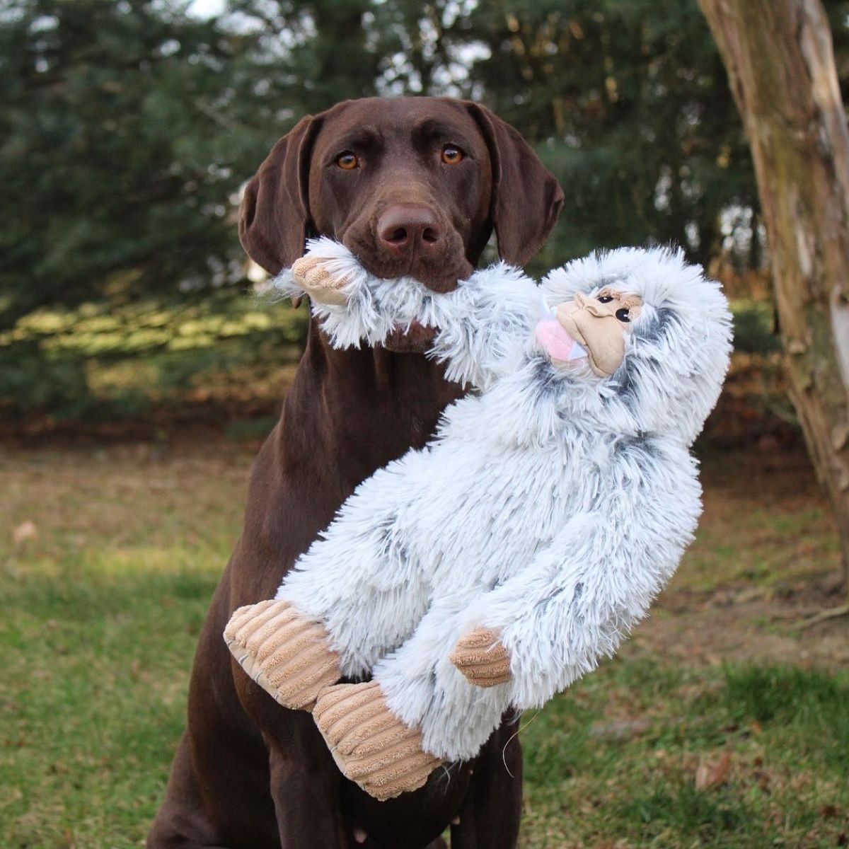 14" Yeti With Squeaker Dog Toy