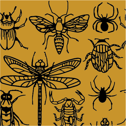 Creepy Crawlies Crew Socks