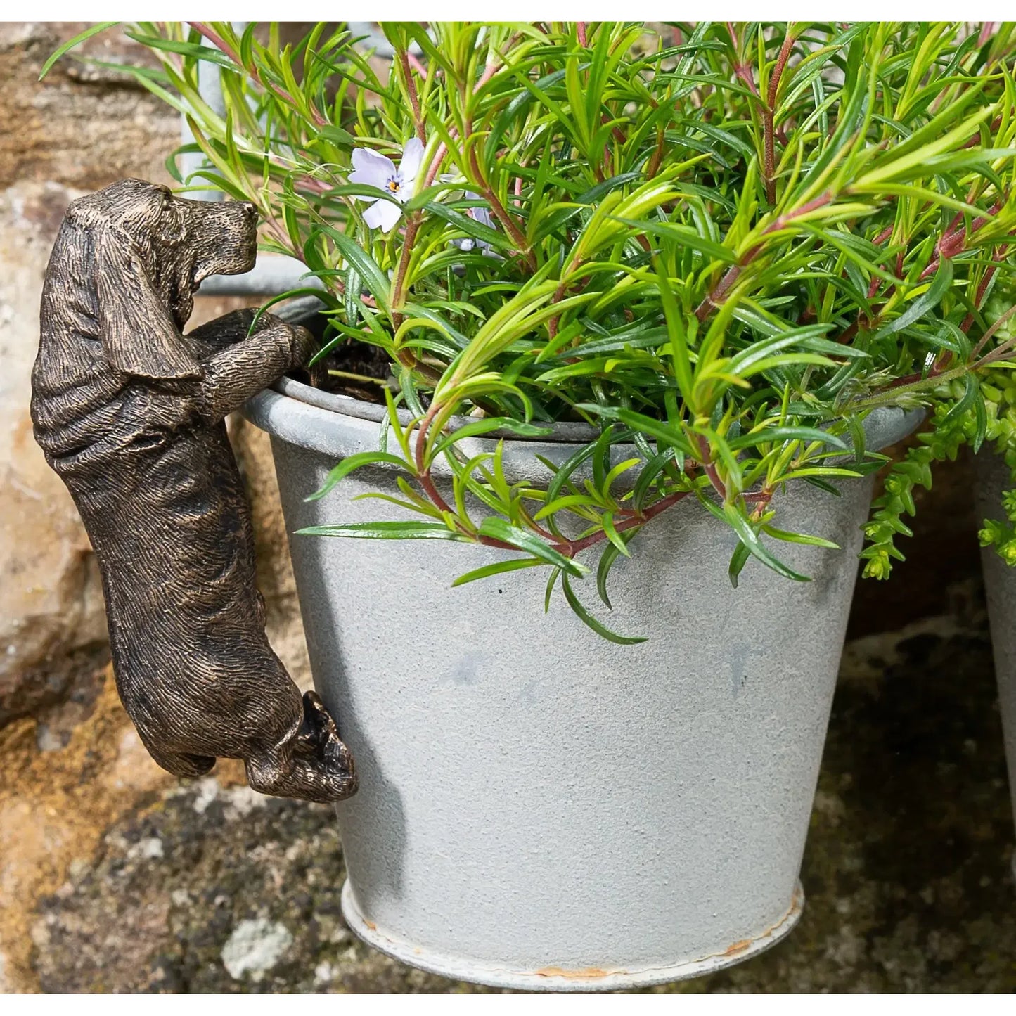 Basset Hound Plant Pot Hanger ("Pot Buddy")