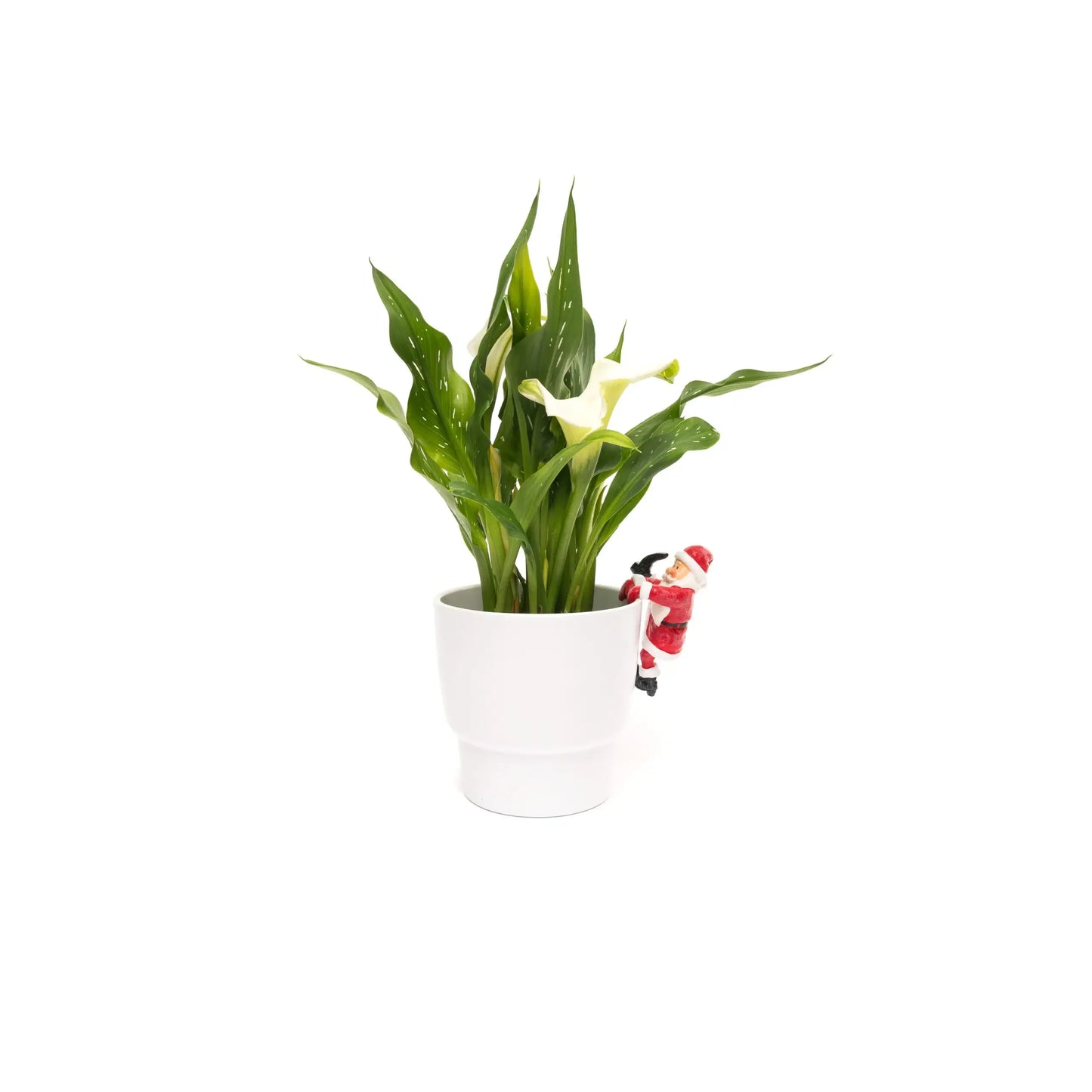 Santa Claus Plant Pot Hanger ("Pot Buddy")