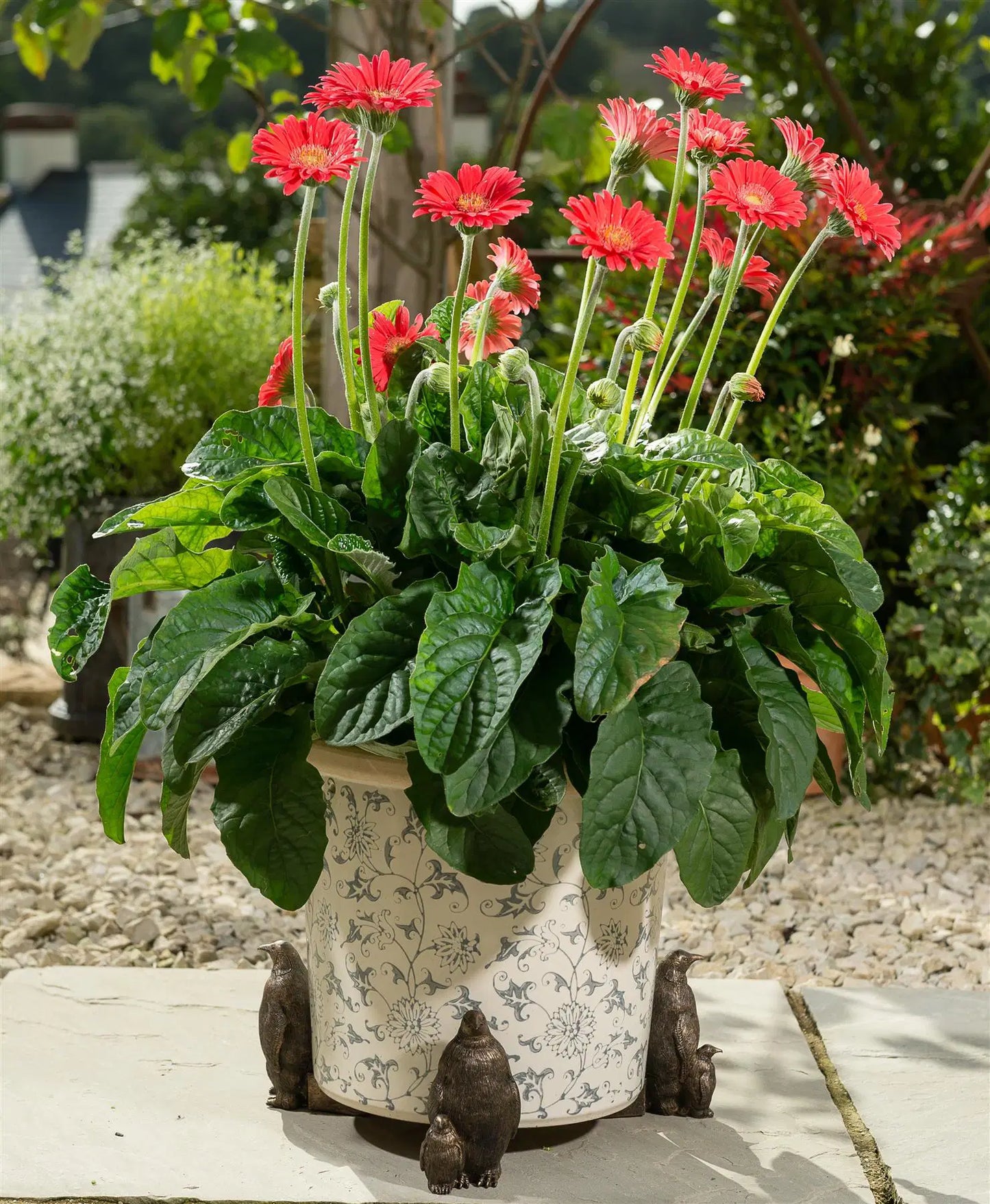 Emperor Penguin Plant Pot Feet - Set of 3