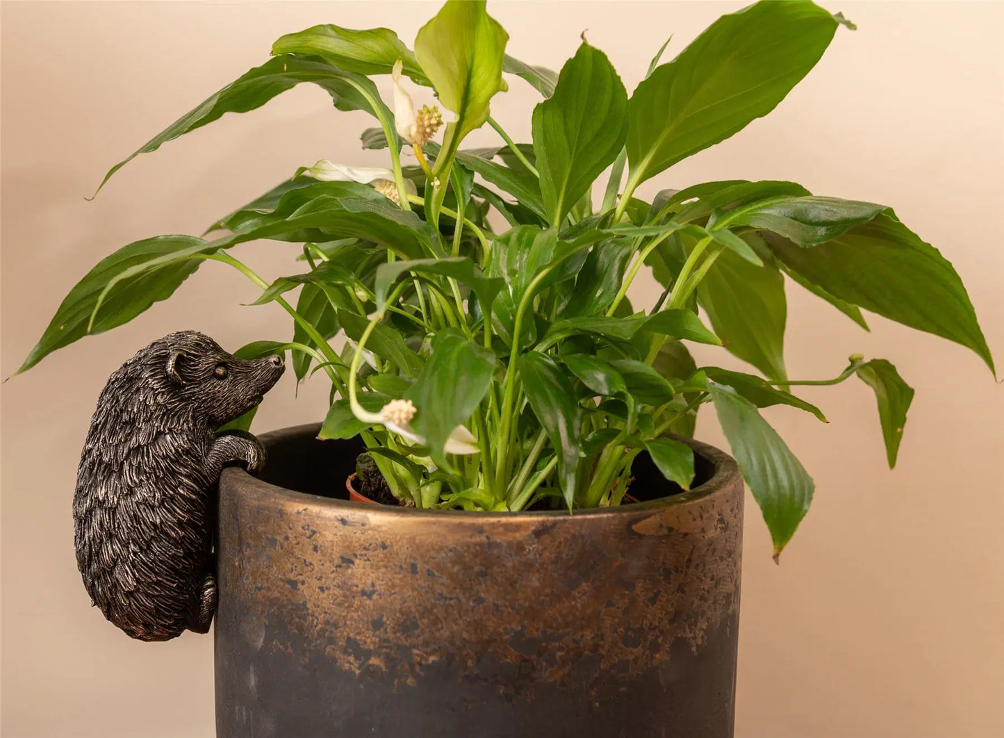 Hedgehog Plant Pot Hanger ("Pot Buddy")