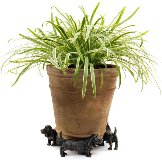 Basset Hound Potty Feet for Planters