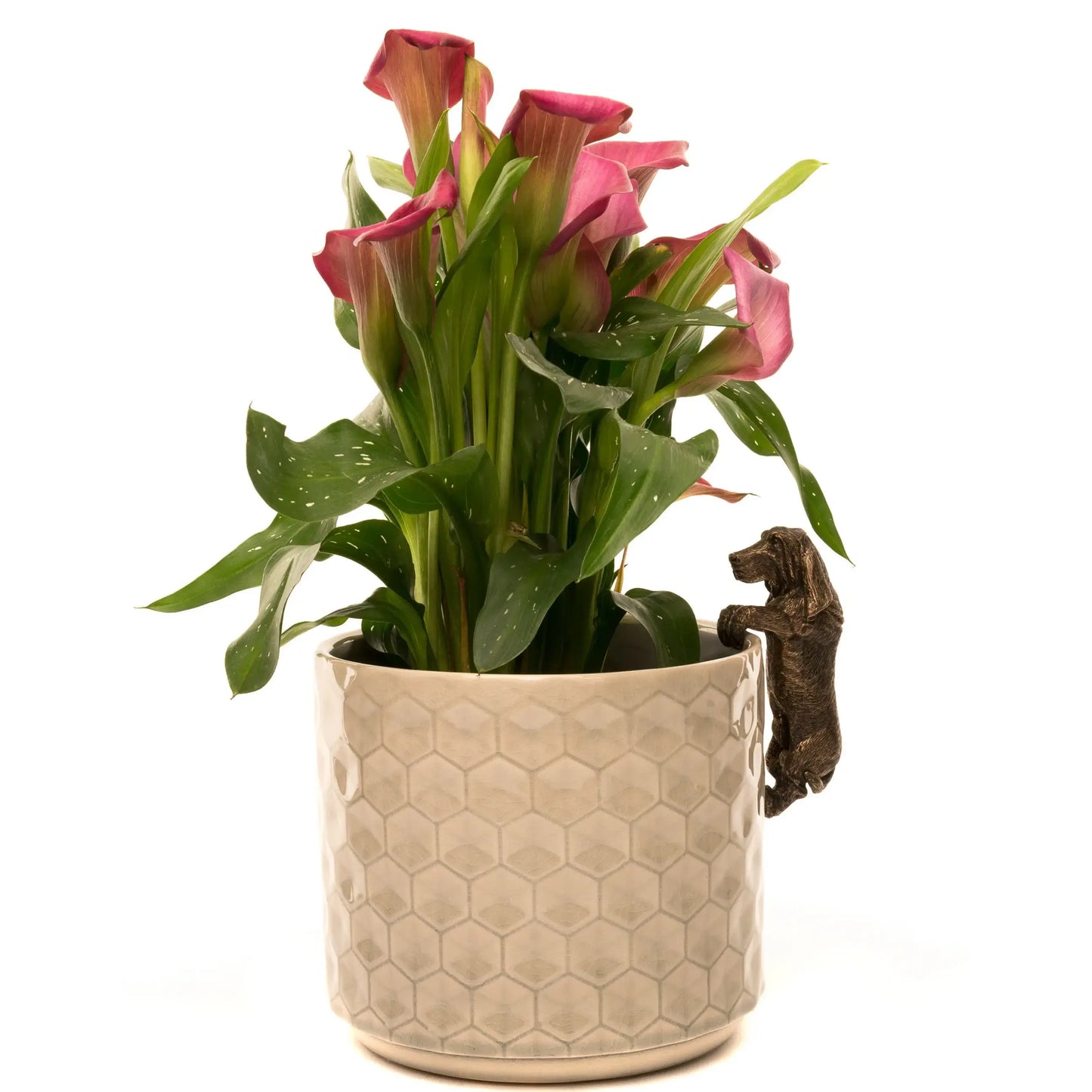 Basset Hound Plant Pot Hanger ("Pot Buddy")