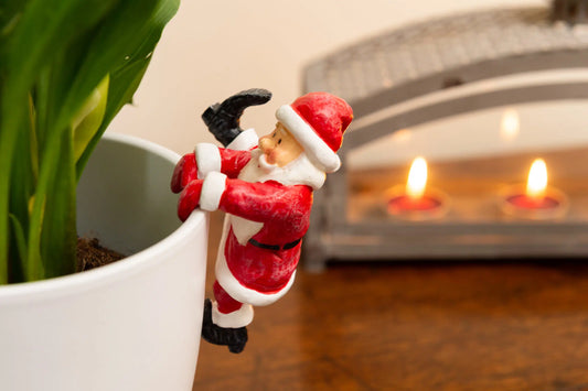 Santa Claus Plant Pot Hanger ("Pot Buddy")