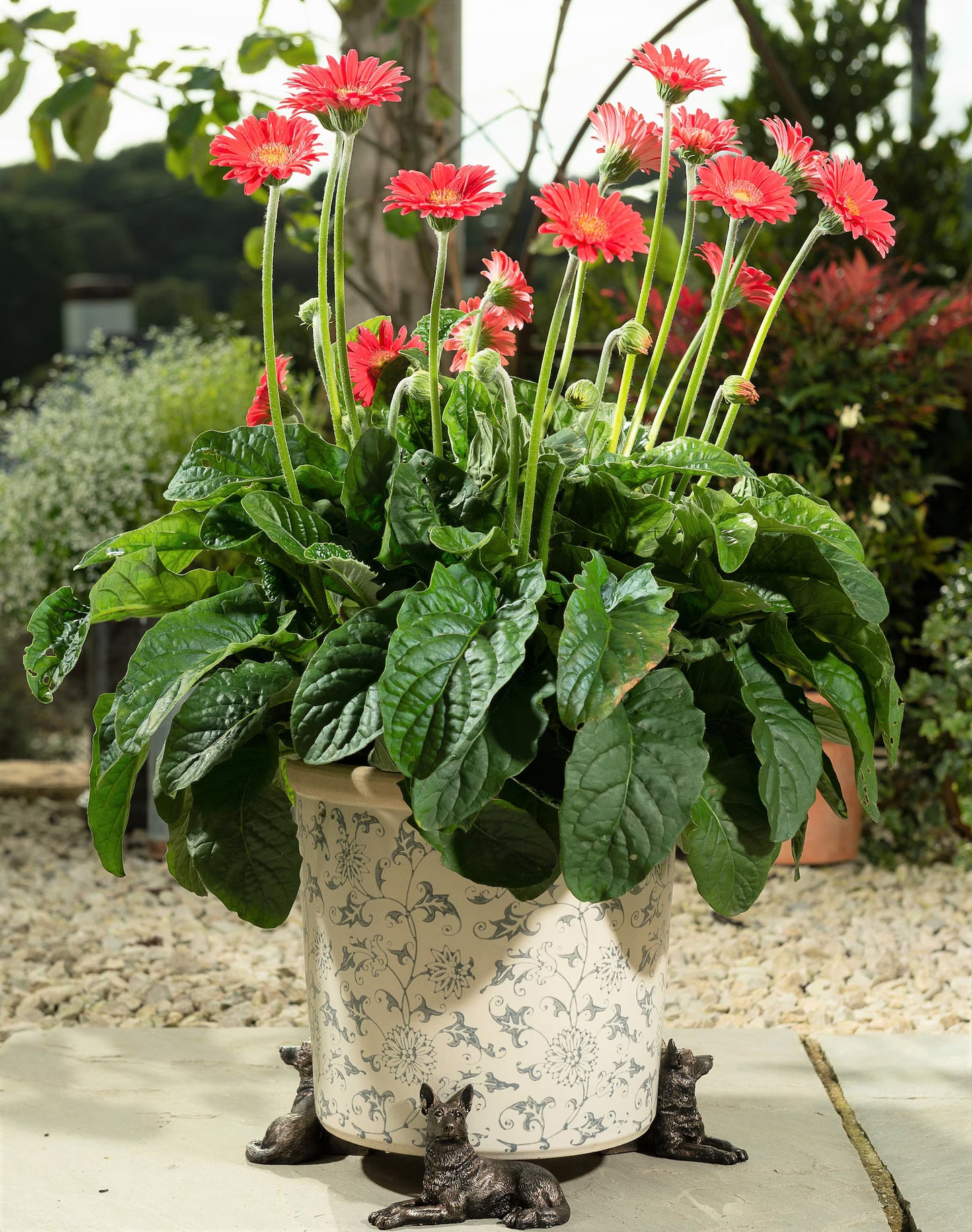 German Shepherd Plant Pot Feet - Set of 3