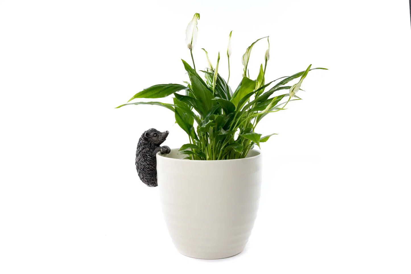 Hedgehog Plant Pot Hanger ("Pot Buddy")