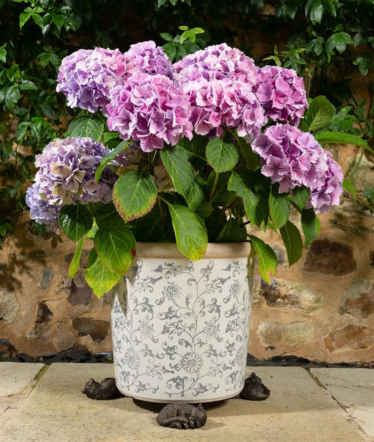 Sleeping Cat Curled Up Plant Pot Feet - Set of 3