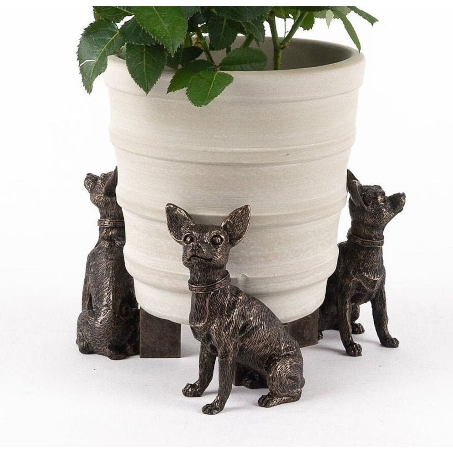 Chihuahua Potty Feet for Planters