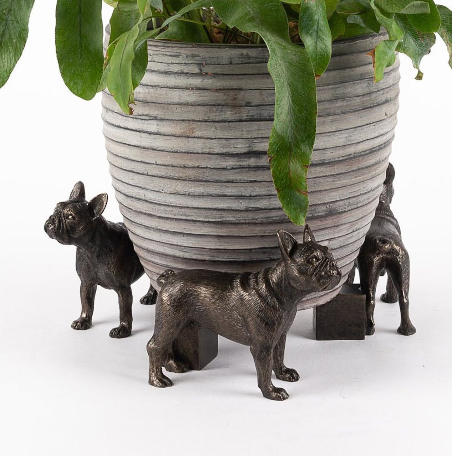 French Bulldog Potty Feet for Planters