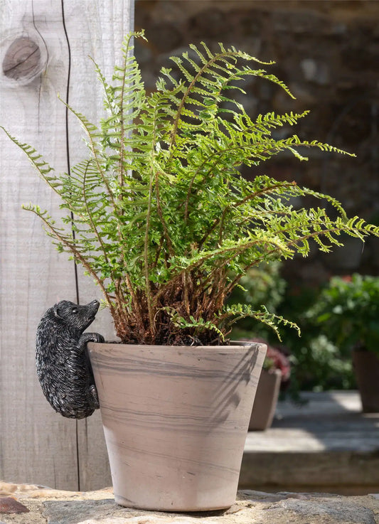 Hedgehog Plant Pot Hanger ("Pot Buddy")