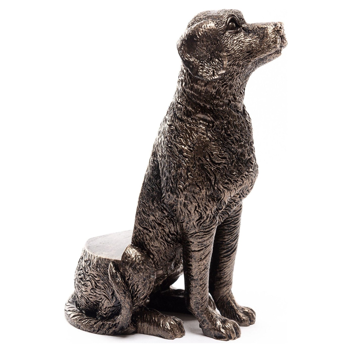 Labrador Dog Potty Feet for Planters