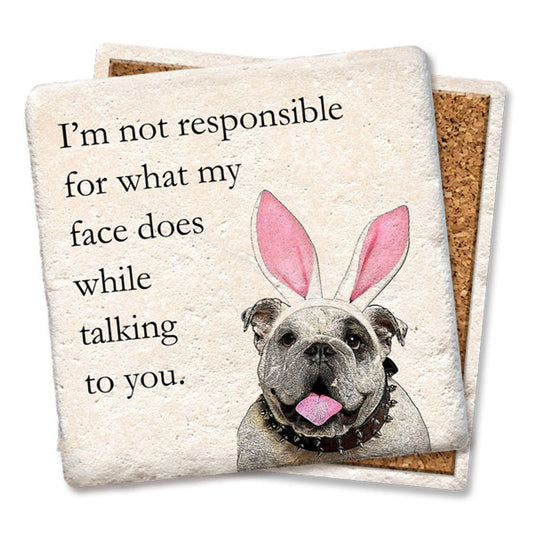 "I'm Not Responsible" Natural Stone Coaster