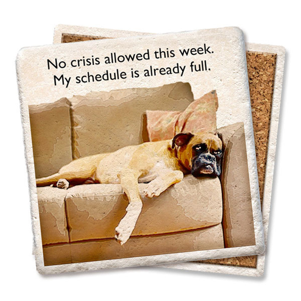 "No Crisis Allowed This Week" Natural Stone Coaster