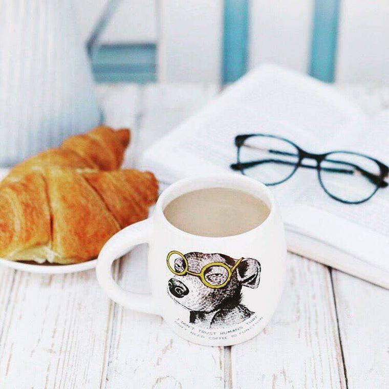 Suspicious Mutt Mug